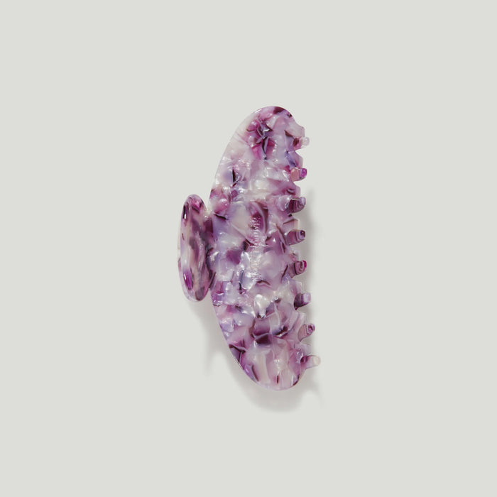Grande Orchid
