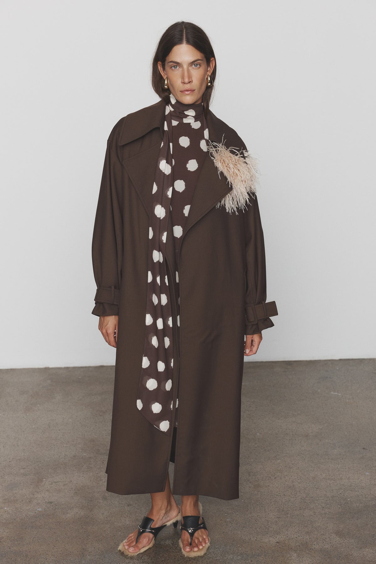 Anne Trench - Brown