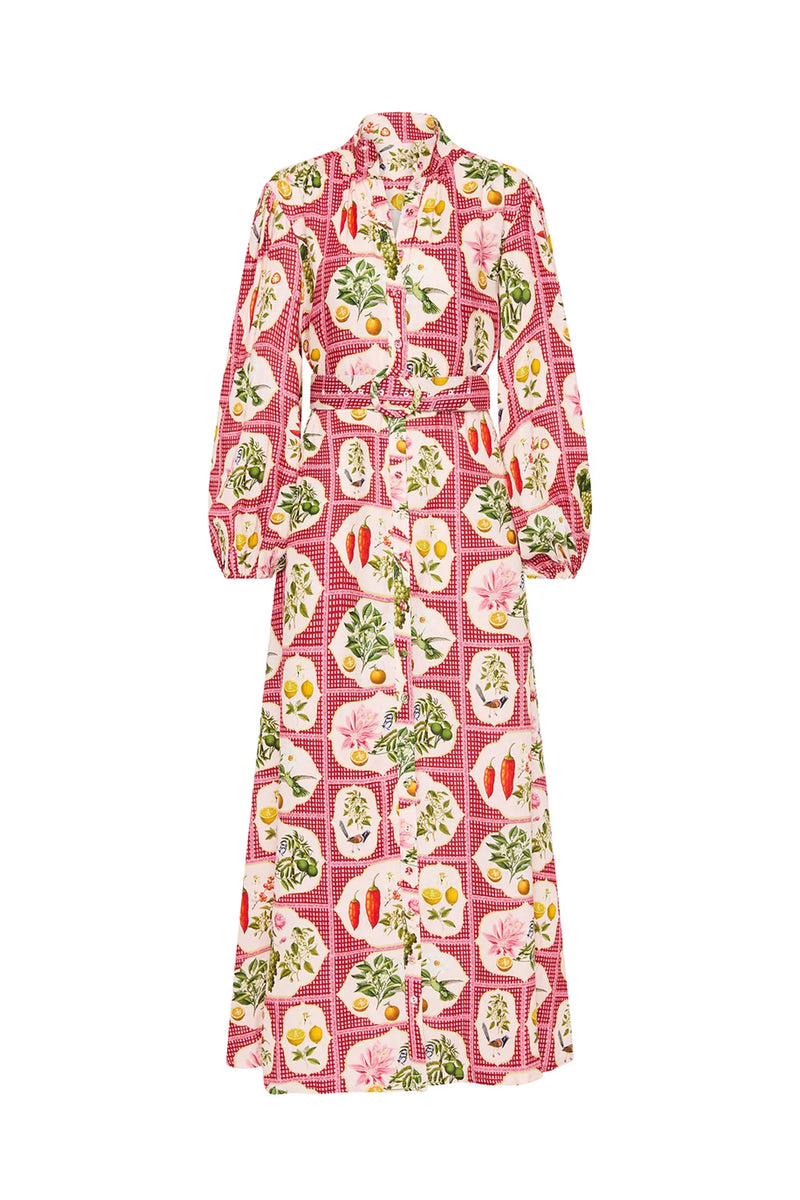 Noddy Dress - Pink Citrus