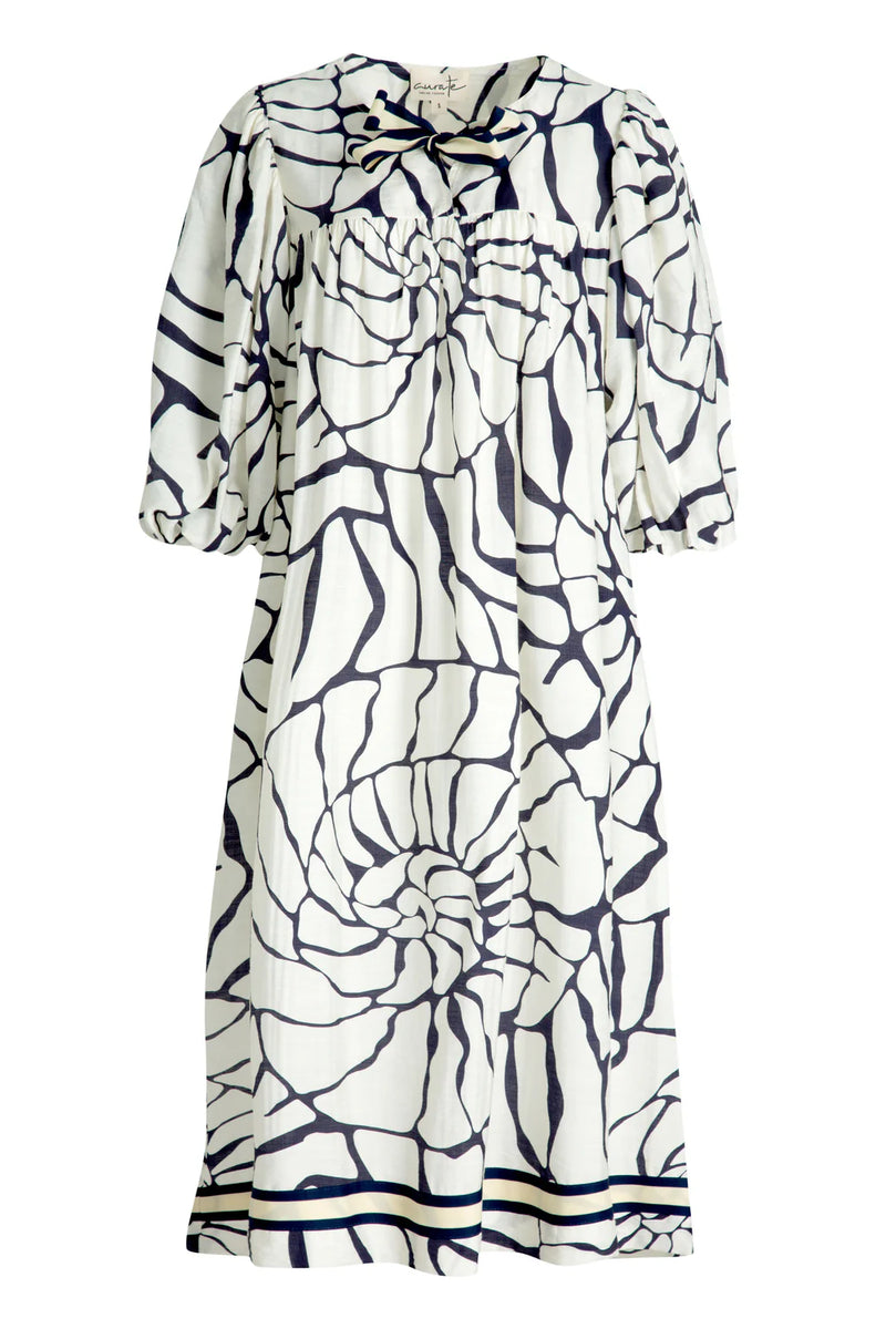 STYLE IN EXCESS Dress - Shells