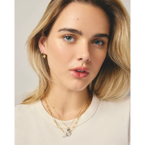 Shae Necklace - Gold/Silver
