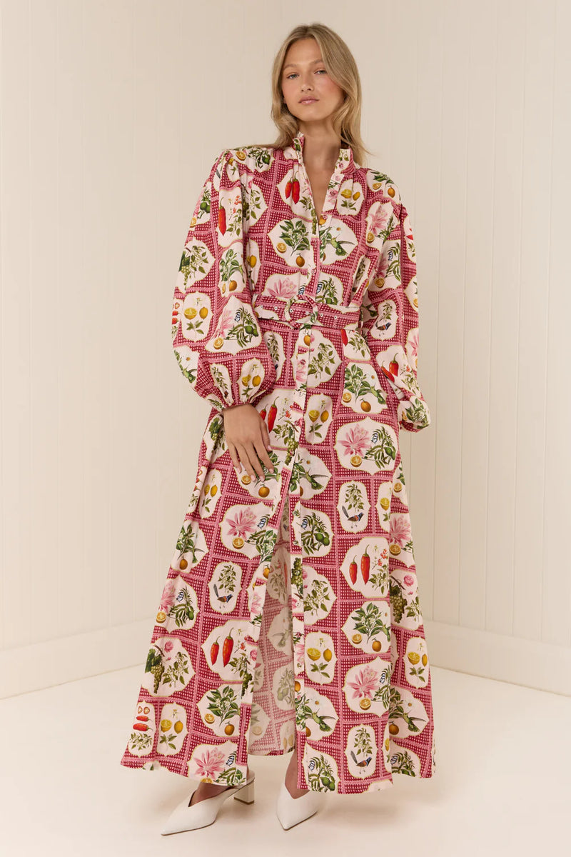 Noddy Dress - Pink Citrus