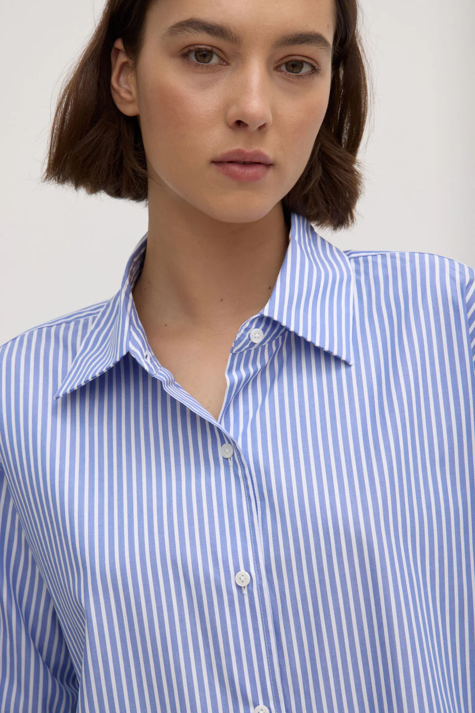 Signature Poplin Shirt - Chamomile/White